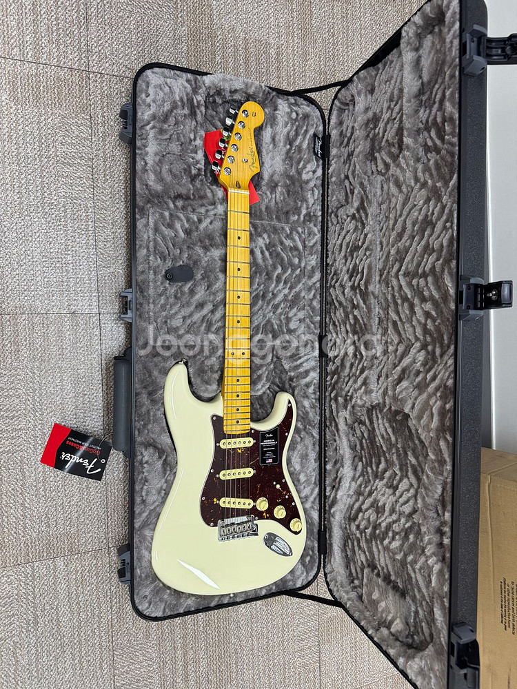 새상품 펜더 USA 아메리칸 프로페셔널 2 스트라토캐스--1