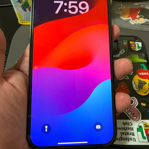 아이폰 12프로 맥스 256기가