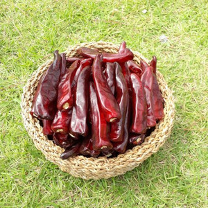 건고추, 고춧가루