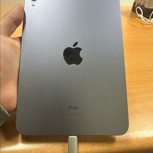 아이패드 미니6 256g