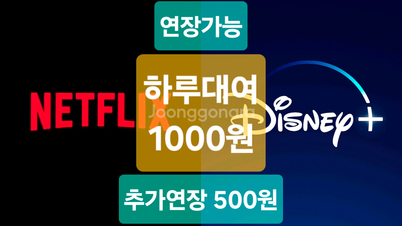 넷플릭스,디즈니플러스 하루대여 1000원--0