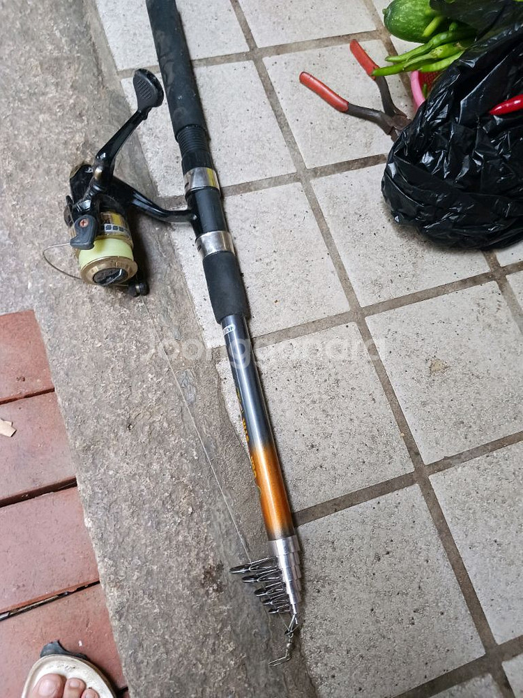 고급 릴 낚시대 처분--0