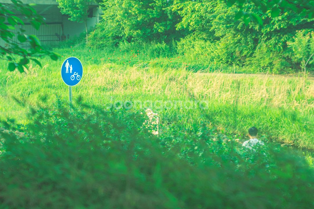 인더스타 61 i-61 50mm f2.8 m39마운트--4
