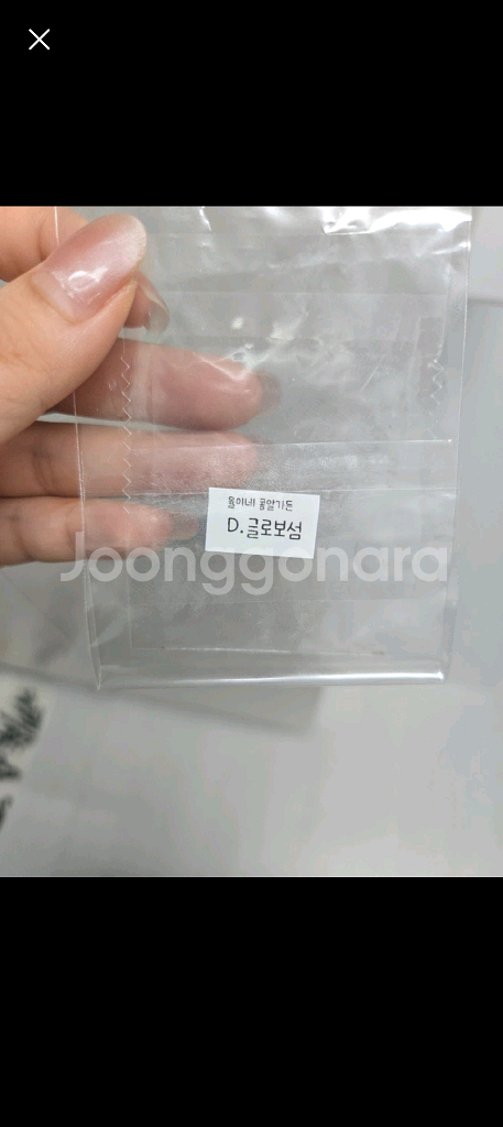 드로산데뭄 글로보섬 씨앗 10립--0