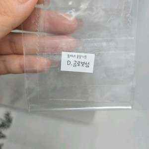 드로산데뭄 글로보섬 씨앗 10립