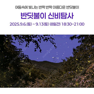 반딧불이 신비탐사권 9월 13일 토요일 2장 구입