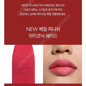 디올 루주 루방베일 261
