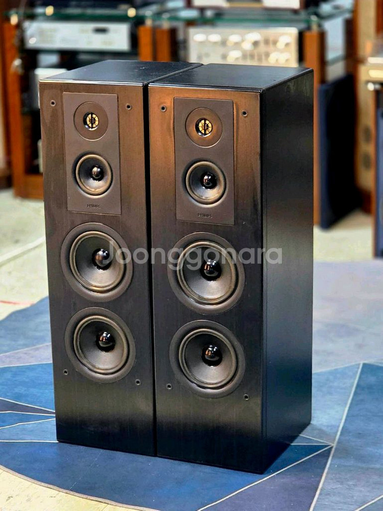 필립스 고급 톨보이 스피커 FP-850--0