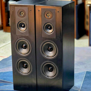 필립스 고급 톨보이 스피커 FP-850