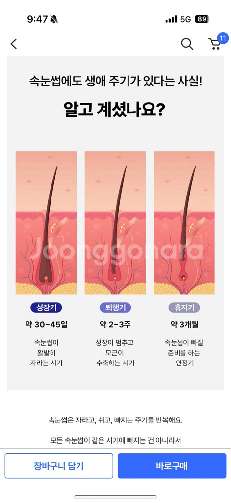 유명한 베이글 속눈썹 영양제 새상품!!--6