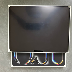 아이패드프로13(M4) 256g wifi , 팬슬프로
