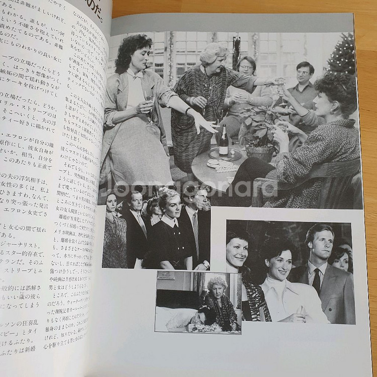 영화 제2의연인 매릴스트립 잭니콜슨 일본영화팜플렛 고전--5