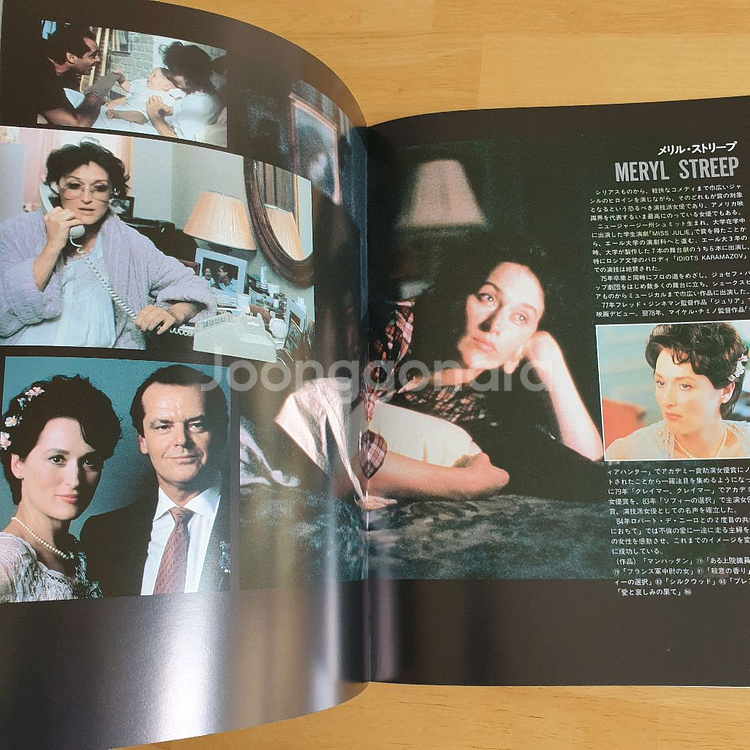 영화 제2의연인 매릴스트립 잭니콜슨 일본영화팜플렛 고전--8