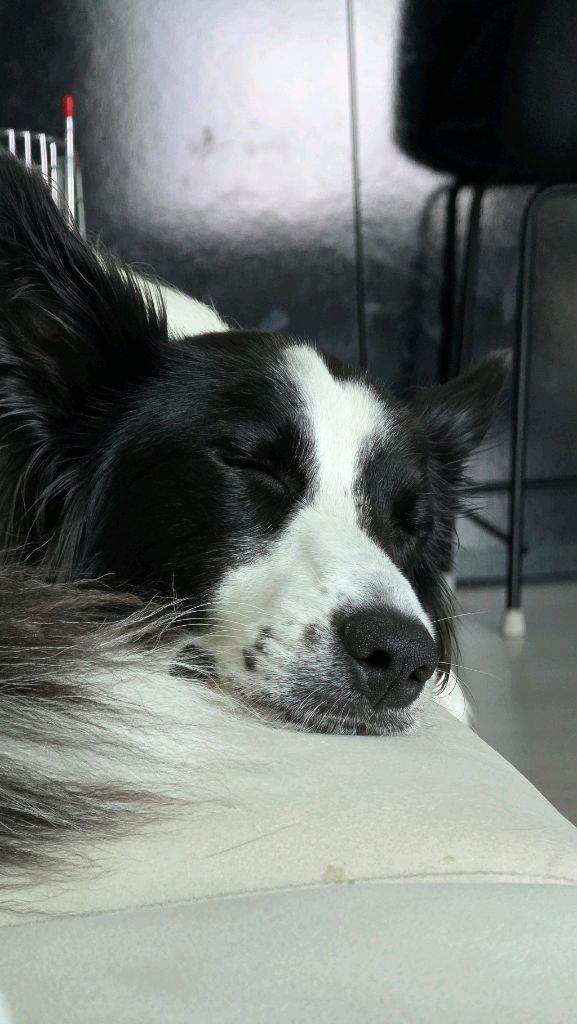profile-image