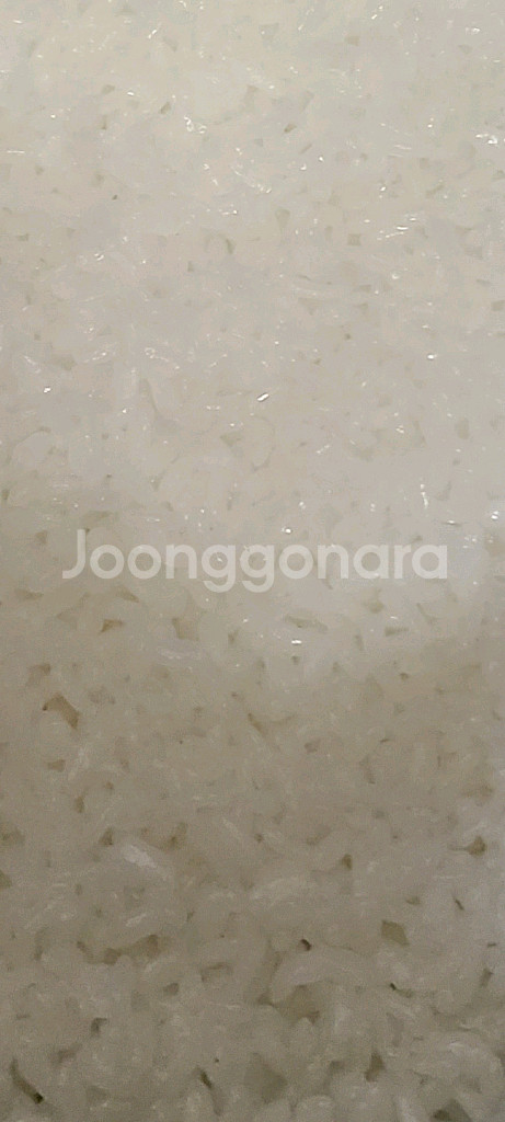 쿠첸6인용 압력밥솥--1