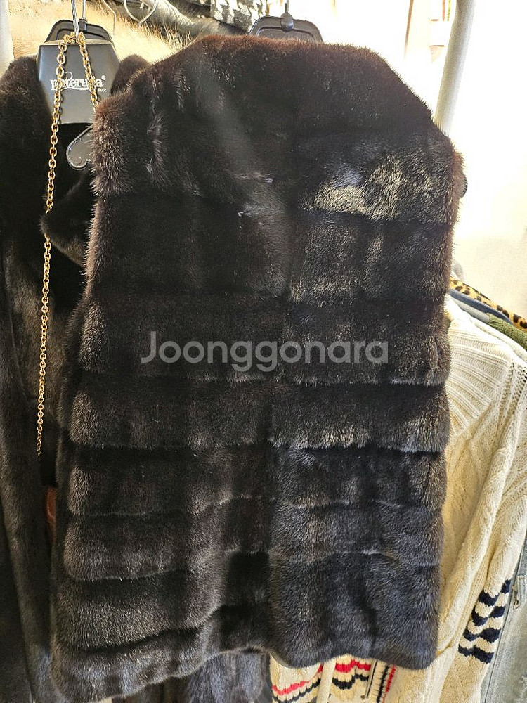 진도 밍크베스트--3