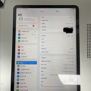 아이패드 프로 (11형)