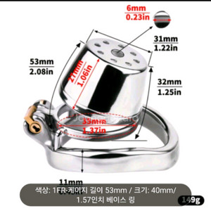 남성용 정조대