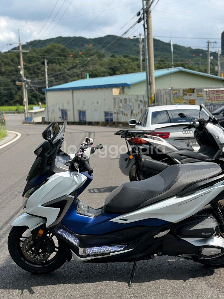 포르자350--3