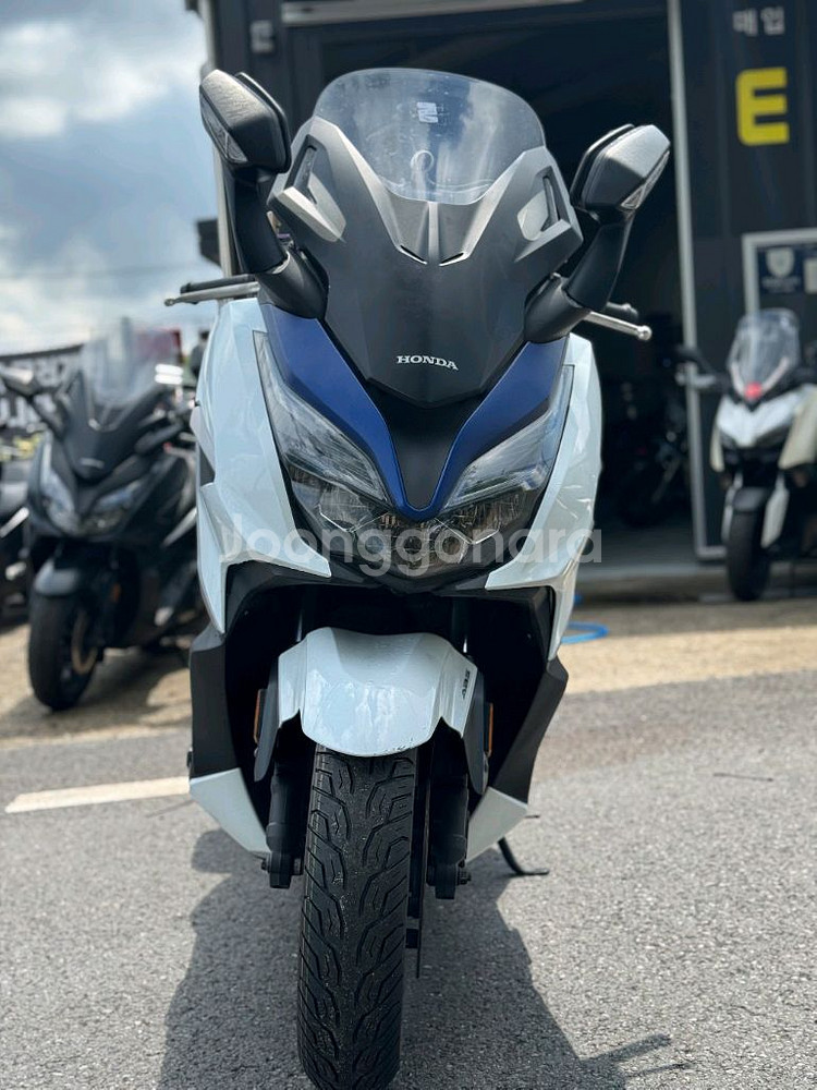 포르자350--1