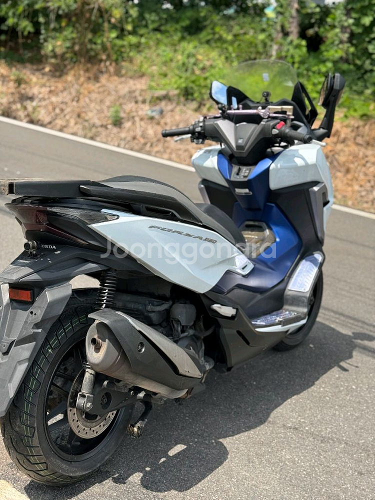 포르자350--6