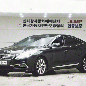 현대 그랜저 HG HG220 디젤 프리미엄