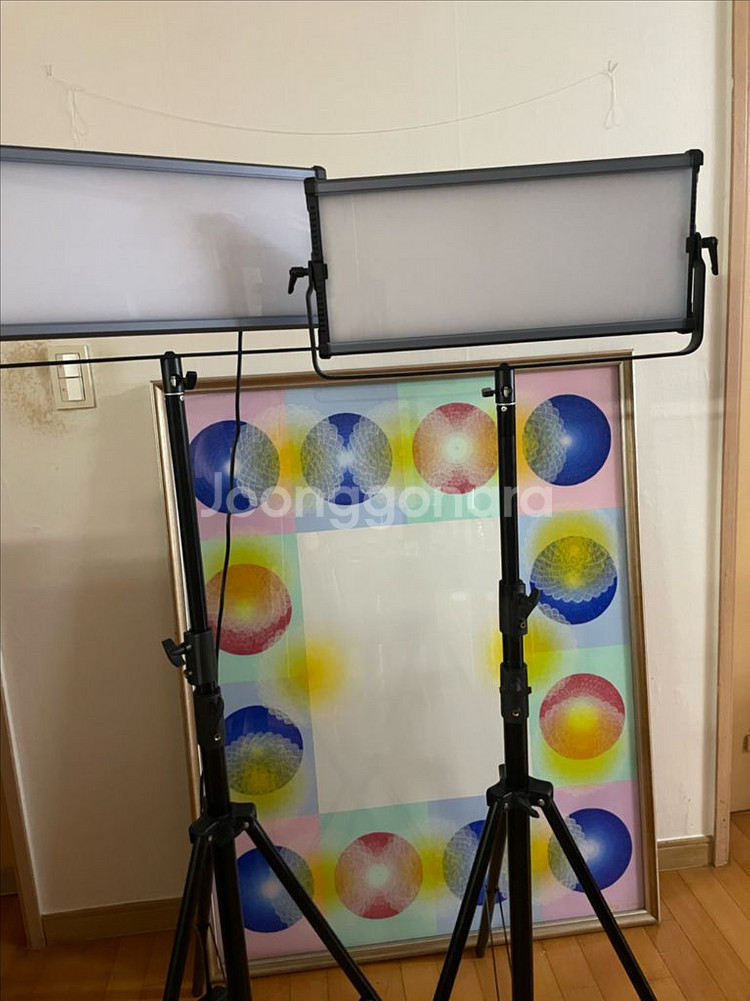 포멕스 Litepad BL2250 2개 세트--1