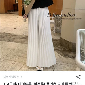 플리츠 바지