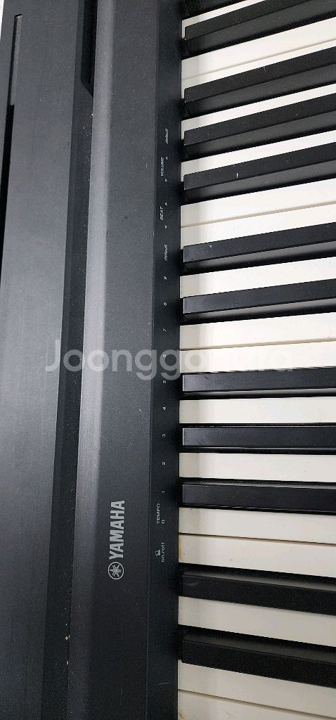 야마하 디지털피아노 p35--5