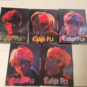 플레이브 칼리고 뱅가드 앨범 전멤 세트(맞춤)