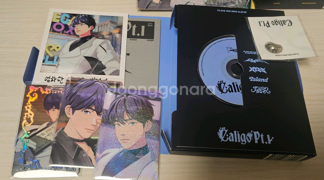 플레이브 칼리고 뱅가드 앨범 전멤 세트(맞춤)--1