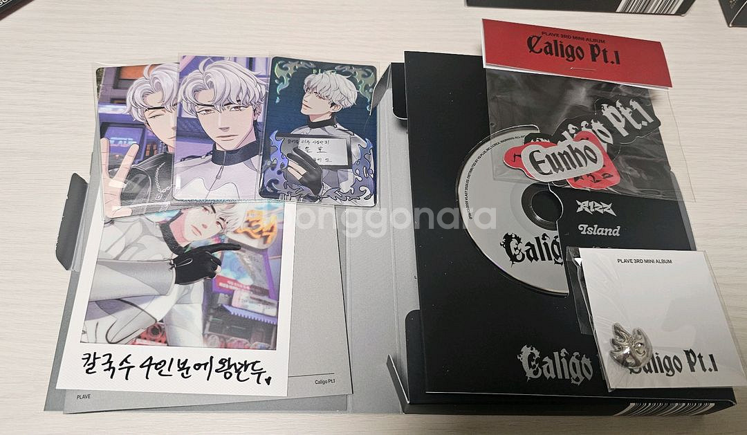 플레이브 칼리고 뱅가드 앨범 전멤 세트(맞춤)--4