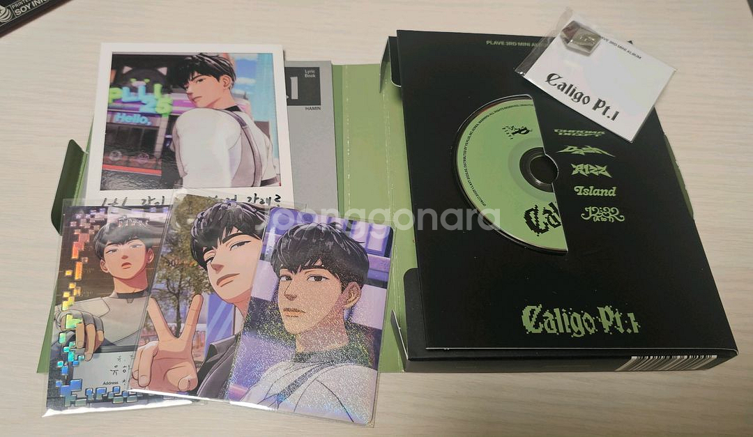 플레이브 칼리고 뱅가드 앨범 전멤 세트(맞춤)--5