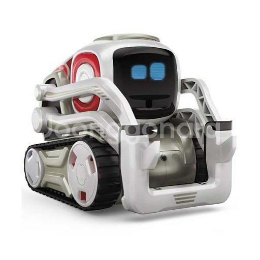 안키 코즈모 인공지능 로봇--0