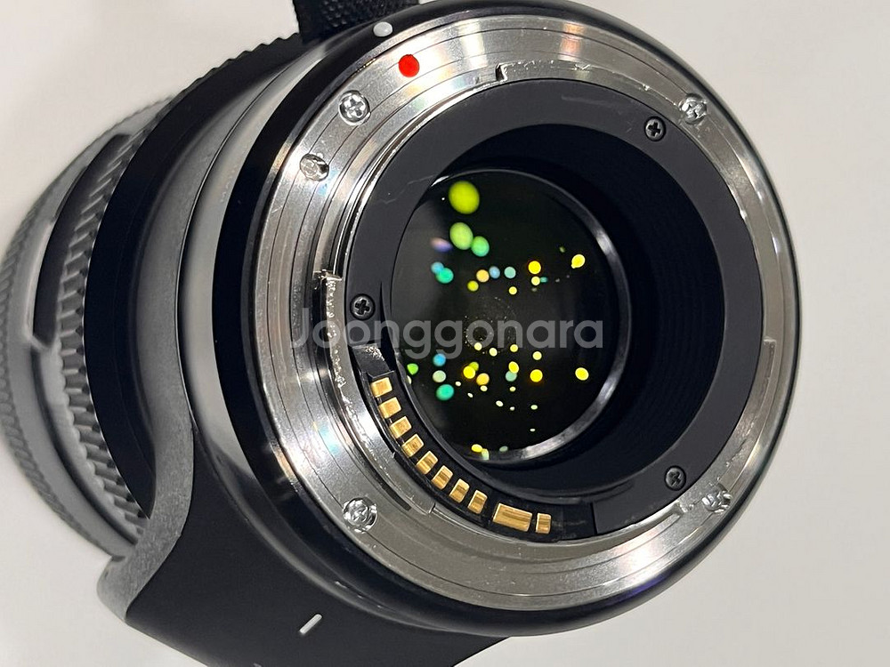 시그마 EF 50-100mm 렌즈--6