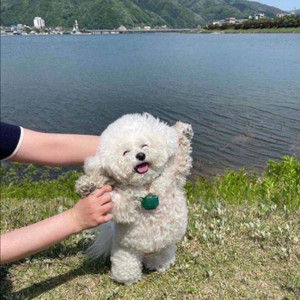 롤 rp 충전식 구매합니다