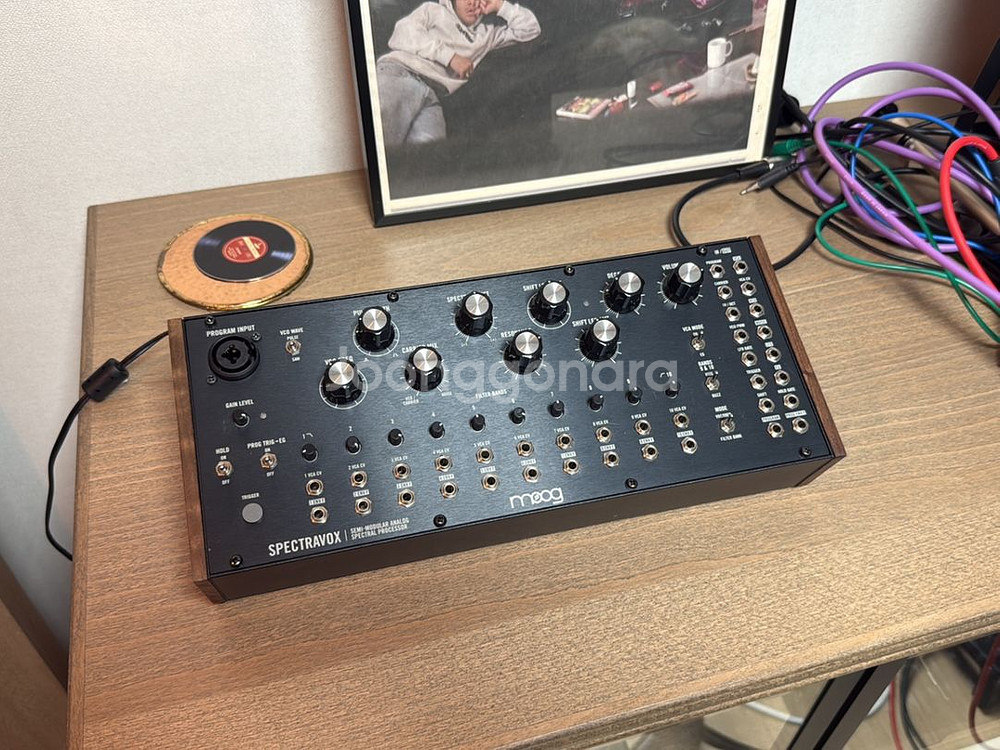 moog spectravox 보코더 신디사이저--0