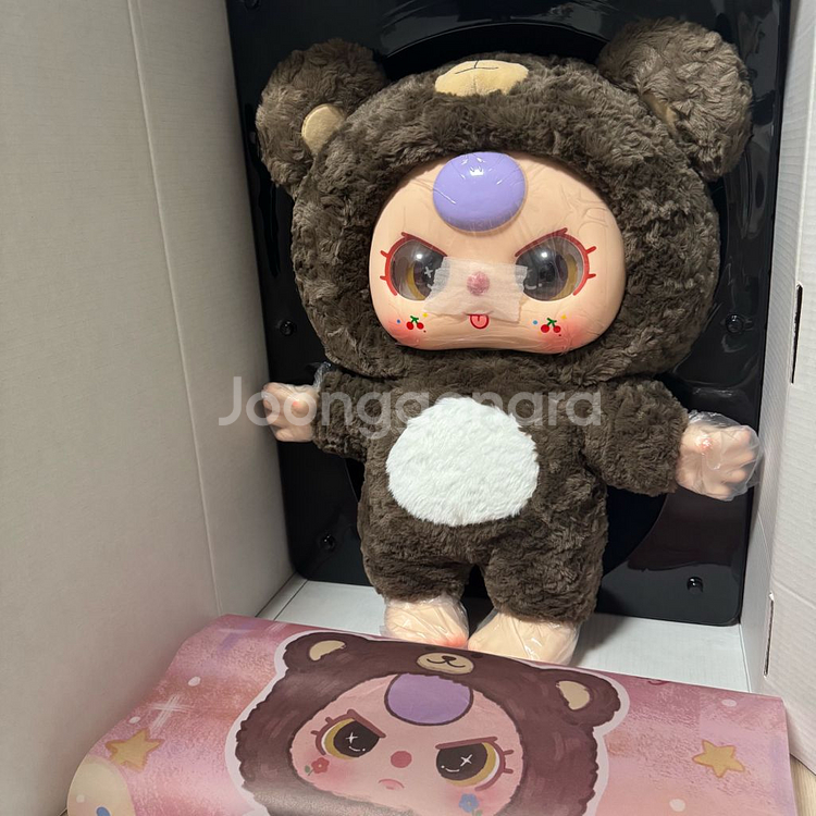 베이비쓰리 1000% 갈색곰--3