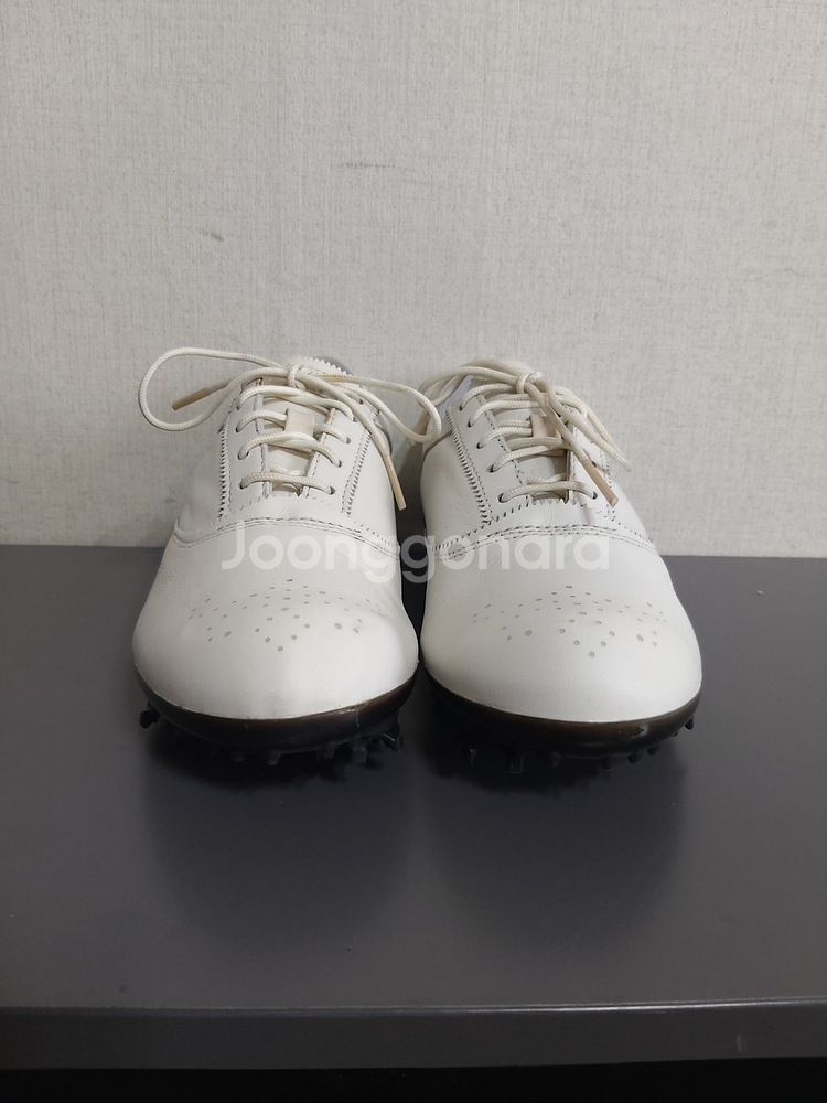 230mm 아디다스 골프화 골프스파이크--2