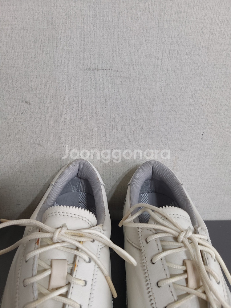 230mm 아디다스 골프화 골프스파이크--4