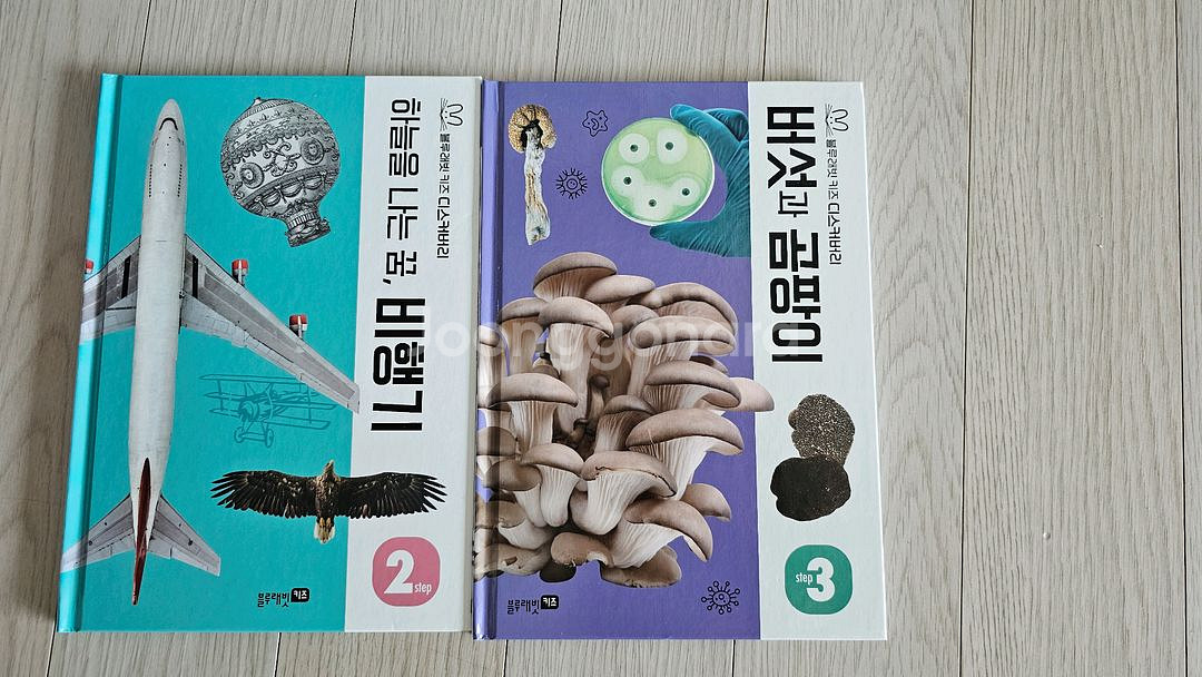 블루래빗 키즈 디스커버리 자연관찰 전집--2