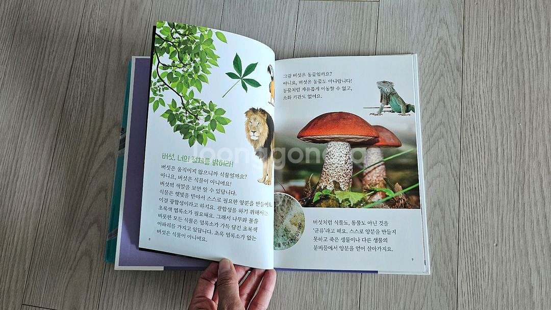 블루래빗 키즈 디스커버리 자연관찰 전집--3