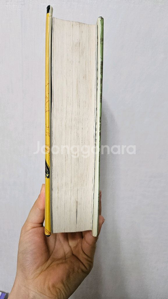 라이파이 정의의사자ㅡ한정판--3