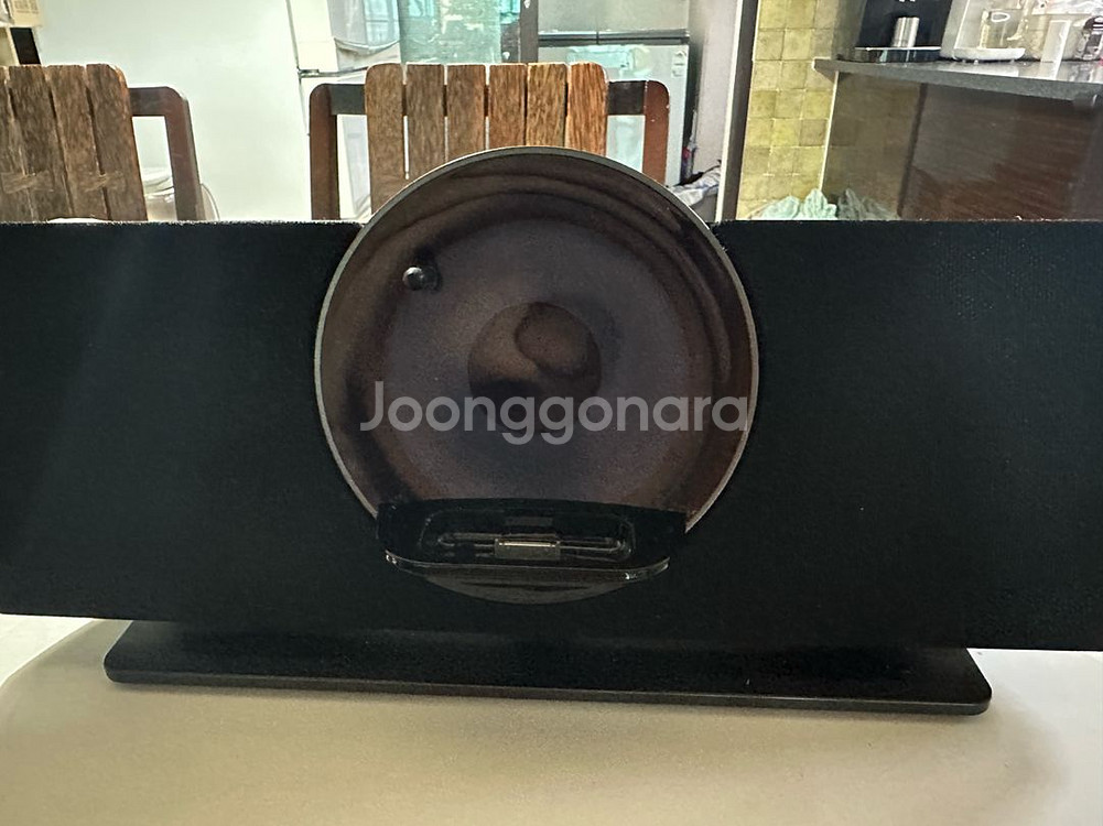 Coby Vitruvian 스피커 csmp-175 팝니--0