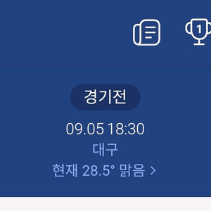 9/5 금 블루존 4연석 양도 삼성라이온즈 라팍