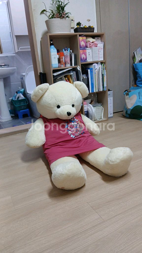 거대 곰인형--0