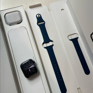애플워치7스테인리스 41mm SS급