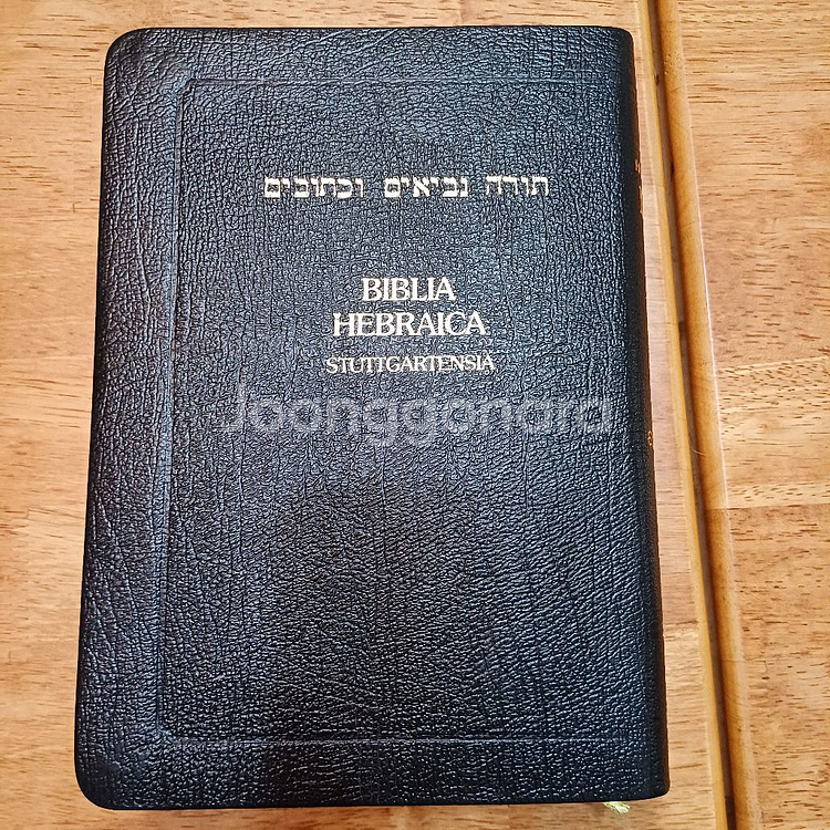 헬라어 신약. 히브리어 구약 원어 성경책--2