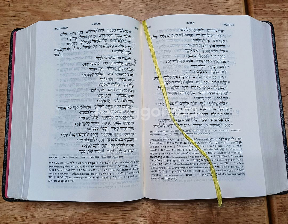 헬라어 신약. 히브리어 구약 원어 성경책--1