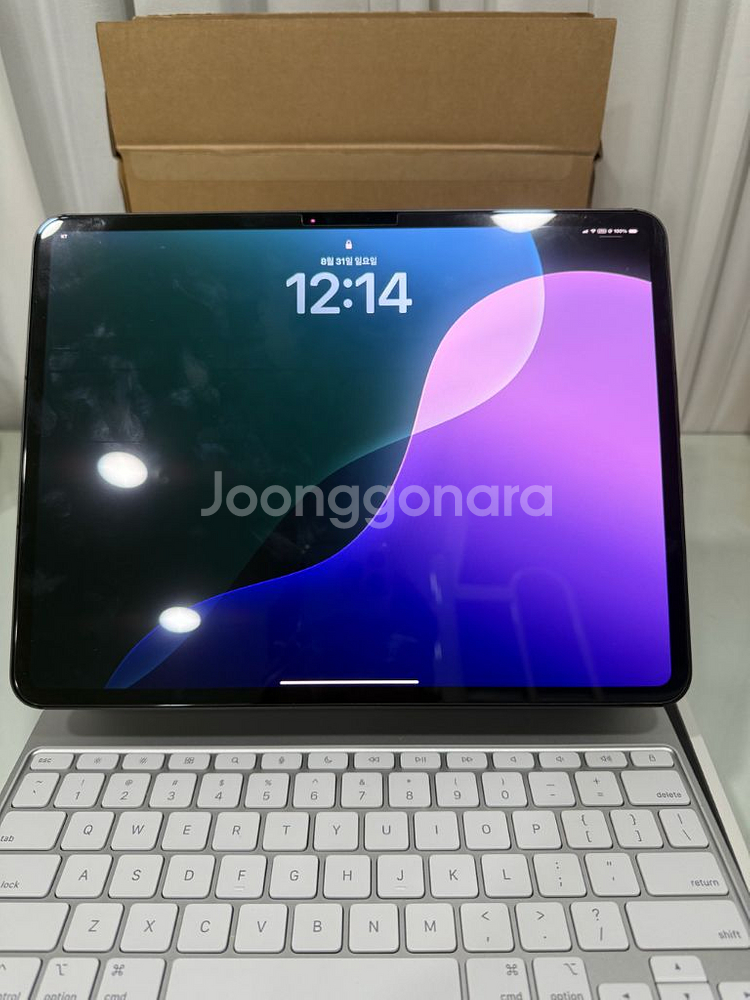 아이패드 프로 13인치 7세대M4 셀룰러 512GB--0